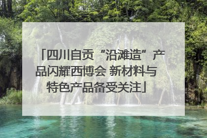 四川自贡“沿滩造”产品闪耀西博会 新材料与特色产品备受关注
