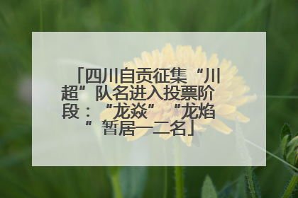 四川自贡征集“川超”队名进入投票阶段：“龙焱”“龙焰”暂居一二名
