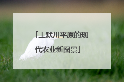 土默川平原的现代农业新图景