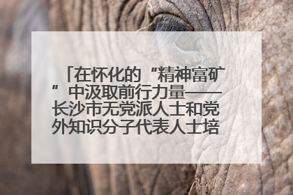 在怀化的“精神富矿”中汲取前行力量——长沙市无党派人士和党外知识分子代表人士培训班在怀化圆满举办