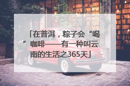 在普洱，粽子会“喝”咖啡——有一种叫云南的生活之365天