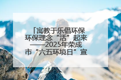 寓教于乐倡环保 环保理念“活”起来——2025年荣成市“六五环境日”宣传活动圆满举行