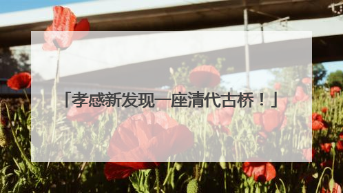 孝感新发现一座清代古桥！