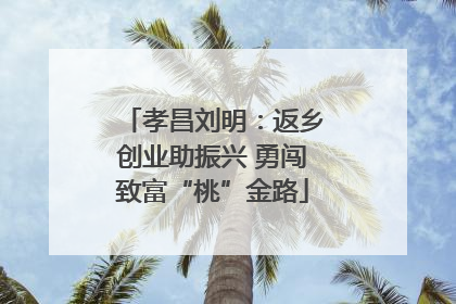 孝昌刘明：返乡创业助振兴 勇闯致富“桃”金路