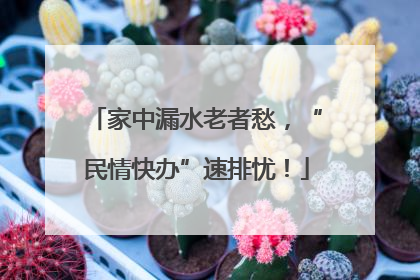 家中漏水老者愁，“民情快办”速排忧！