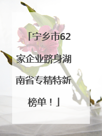 宁乡市62家企业跻身湖南省专精特新榜单！