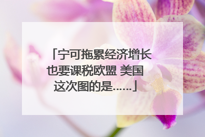 宁可拖累经济增长也要课税欧盟 美国这次图的是……