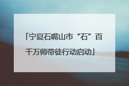 宁夏石嘴山市“石”百千万师带徒行动启动