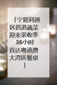 宁夏利通区供港蔬菜迎来采收季 36小时直达粤港澳大湾区餐桌