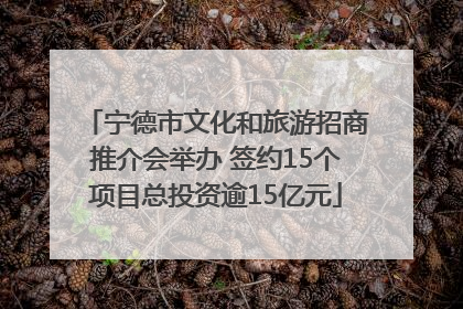 宁德市文化和旅游招商推介会举办 签约15个项目总投资逾15亿元