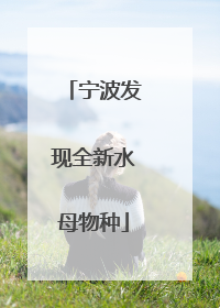 宁波发现全新水母物种