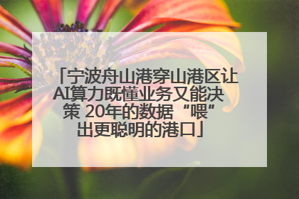 宁波舟山港穿山港区让AI算力既懂业务又能决策 20年的数据“喂”出更聪明的港口