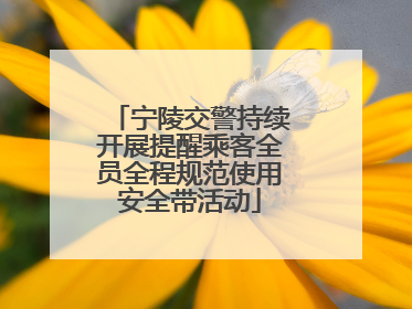 宁陵交警持续开展提醒乘客全员全程规范使用安全带活动