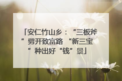 安仁竹山乡：“三板斧”劈开致富路 “新三宝”种出好“钱”景