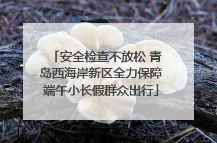 安全检查不放松 青岛西海岸新区全力保障端午小长假群众出行