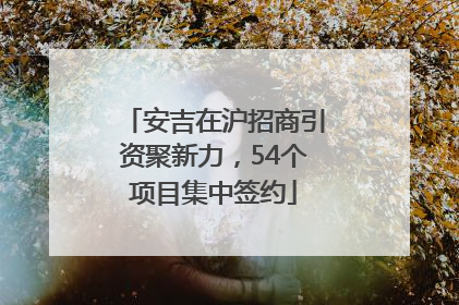 安吉在沪招商引资聚新力，54个项目集中签约