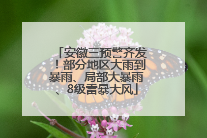 安徽三预警齐发！部分地区大雨到暴雨、局部大暴雨、8级雷暴大风