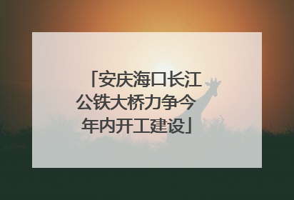 安庆海口长江公铁大桥力争今年内开工建设