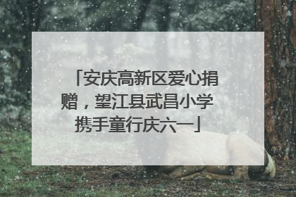 安庆高新区爱心捐赠，望江县武昌小学携手童行庆六一