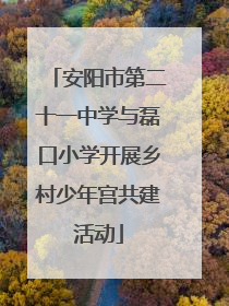 安阳市第二十一中学与磊口小学开展乡村少年宫共建活动