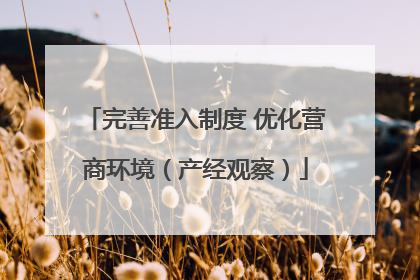 完善准入制度 优化营商环境（产经观察）