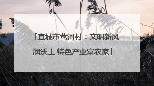 宜城市莺河村：文明新风润沃土 特色产业富农家