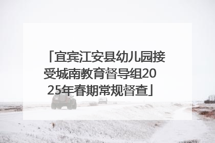 宜宾江安县幼儿园接受城南教育督导组2025年春期常规督查