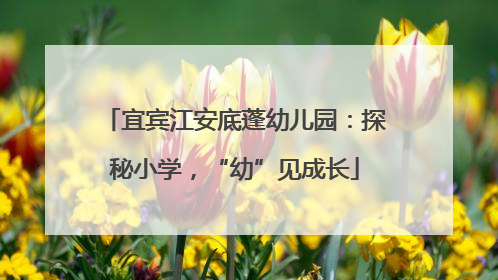 宜宾江安底蓬幼儿园：探秘小学，“幼”见成长