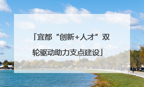 宜都“创新+人才”双轮驱动助力支点建设