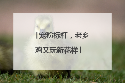 宠粉标杆，老乡鸡又玩新花样