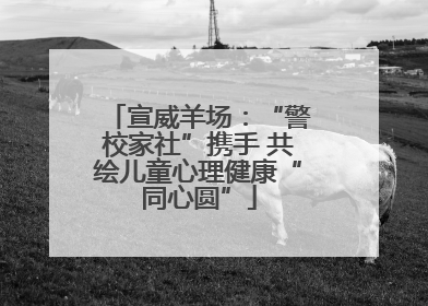 宣威羊场：“警校家社”携手 共绘儿童心理健康“同心圆”