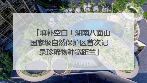 填补空白！湖南八面山国家级自然保护区首次记录珍稀物种宽距兰