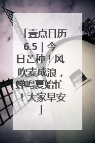 壹点日历6.5｜今日芒种！风吹麦成浪，蝉鸣夏始忙！大家早安