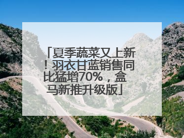 夏季蔬菜又上新！羽衣甘蓝销售同比猛增70%，盒马新推升级版