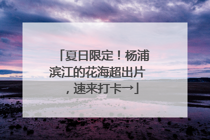 夏日限定！杨浦滨江的花海超出片，速来打卡→