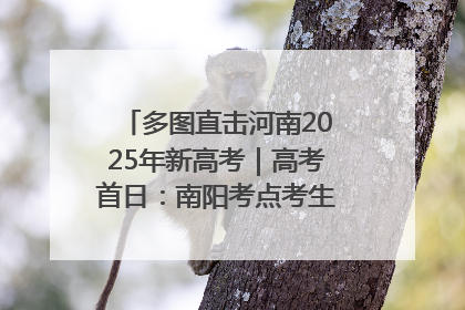 多图直击河南2025年新高考｜高考首日：南阳考点考生信心满满迎战