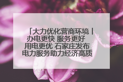 大力优化营商环境丨办电更快 服务更好 用电更优 石家庄发布电力服务助力经济高质量发展八项措施