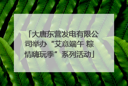 大唐东营发电有限公司举办“艾意端午 粽情嗨玩季”系列活动