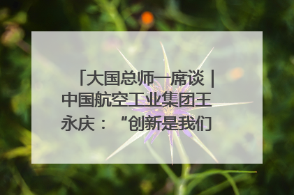 大国总师一席谈｜中国航空工业集团王永庆：“创新是我们的基因密码”