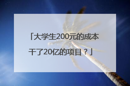 大学生200元的成本干了20亿的项目？