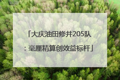 大庆油田修井205队：毫厘精算创效益标杆