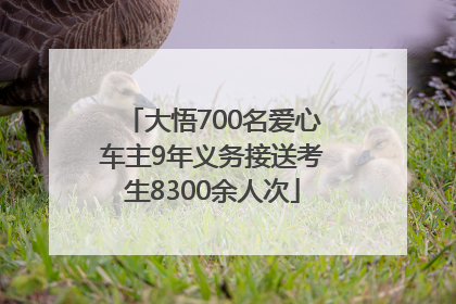 大悟700名爱心车主9年义务接送考生8300余人次