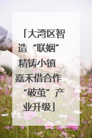 大湾区智造“联姻”精铸小镇 嘉禾借合作“破茧”产业升级