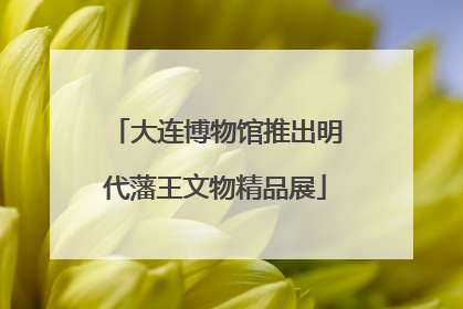 大连博物馆推出明代藩王文物精品展