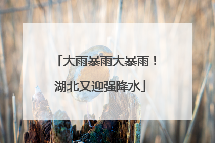 大雨暴雨大暴雨！湖北又迎强降水
