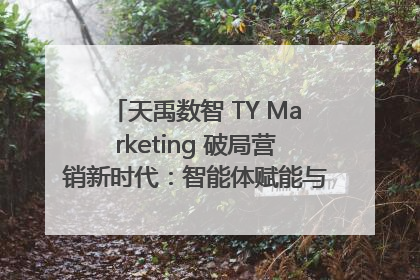 天禹数智 TY Marketing 破局营销新时代：智能体赋能与人才培育双轮驱动