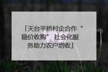 天台平桥村企合作“稳价收购” 社会化服务助力农户增收
