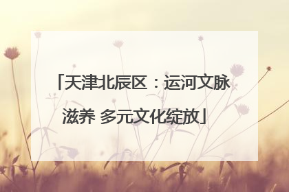 天津北辰区：运河文脉滋养 多元文化绽放