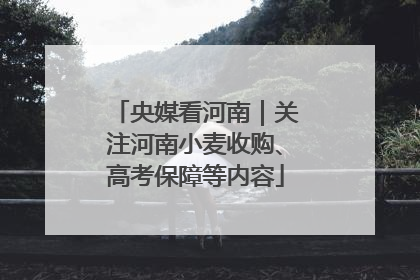 央媒看河南｜关注河南小麦收购、高考保障等内容