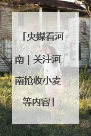 央媒看河南｜关注河南抢收小麦等内容
